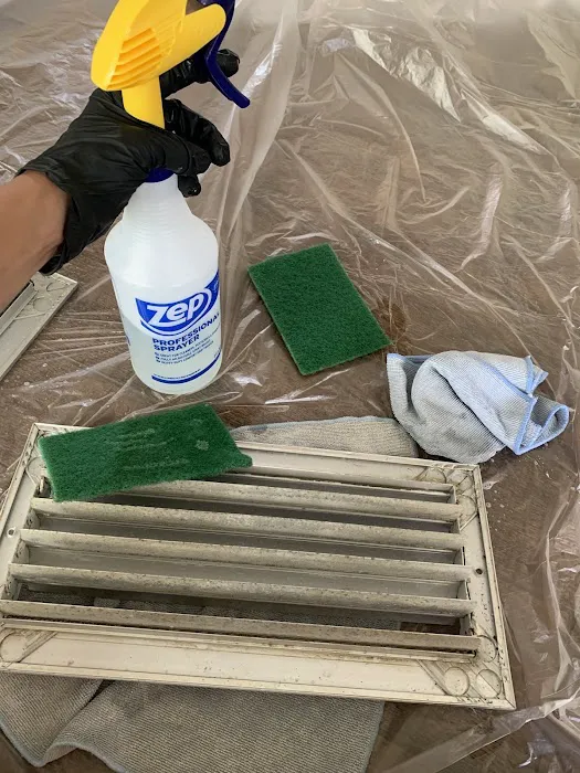 Mold Solutions Tampa Bay Picture 2