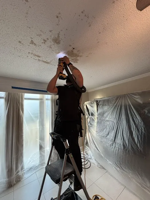 Mold Solutions Tampa Bay Picture 9