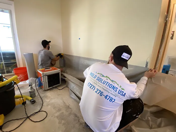 Mold Solutions Tampa Bay Picture 3