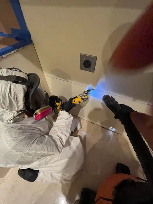 Mold Solutions Tampa Bay Picture 5