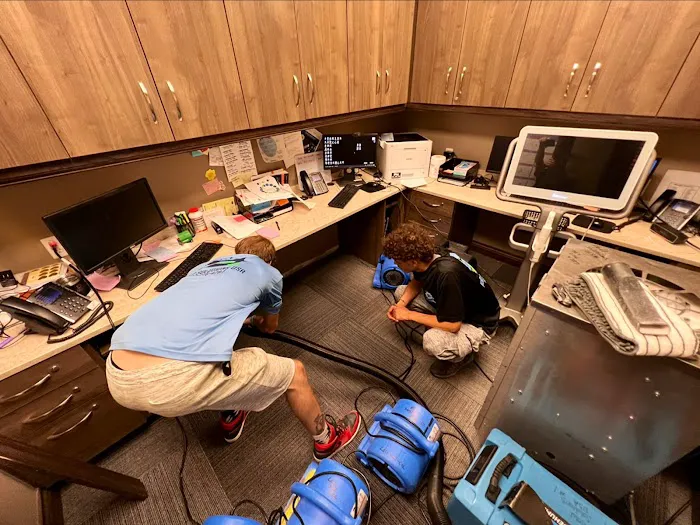 Mold Solutions Tampa Bay Picture 4