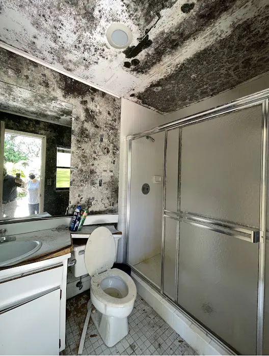 Mold Solutions Tampa Bay Picture 8