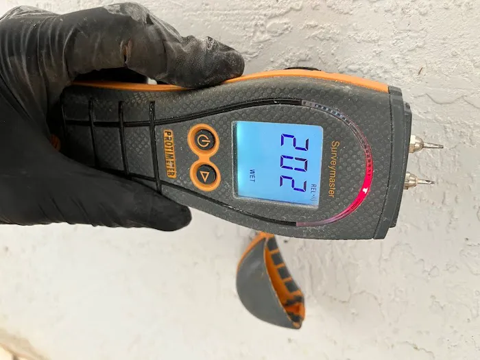 Mold Solutions Tampa Bay Picture 6