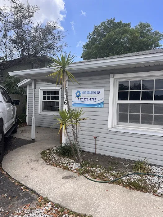Mold Solutions Tampa Bay Picture 1