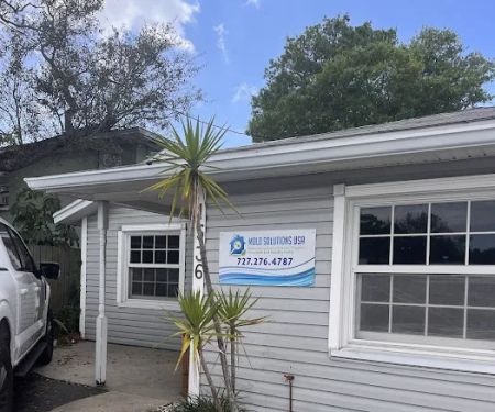 Mold Solutions Tampa Bay