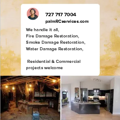 Palm Restoration and Construction Services Picture 1