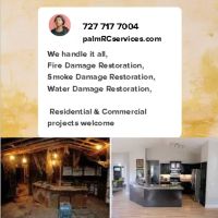 Palm Restoration and Construction Services ico