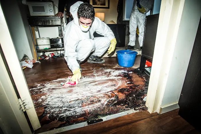 Palm Restoration and Construction Services Picture 7