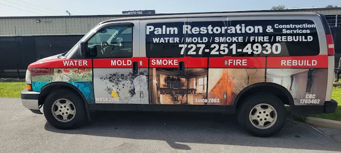 Palm Restoration and Construction Services Picture 4