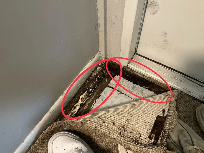 AIR Resolutions Picture 7