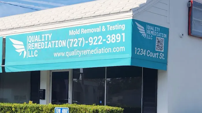 Quality Remediation Picture 2