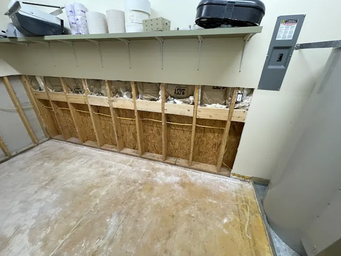 Pilot Restoration Picture 4