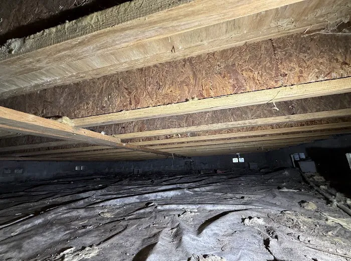 Dry Out Daddy Restoration Picture 1