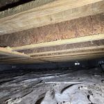 Dry Out Daddy Restoration