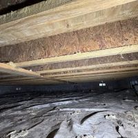 Dry Out Daddy Restoration ico