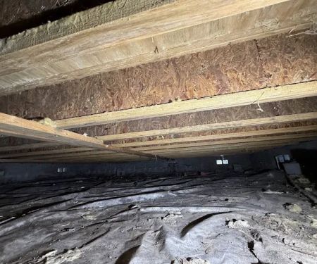 Dry Out Daddy Restoration