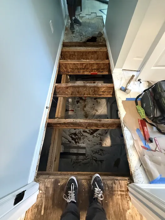 Dry Out Daddy Restoration Picture 9