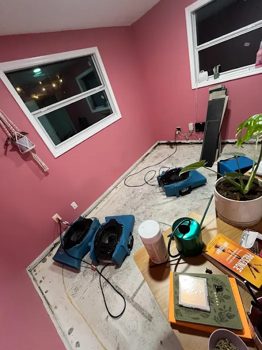 Dry Out Daddy Restoration Picture 7