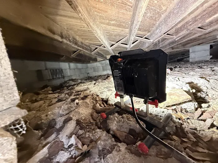 Dry Out Daddy Restoration Picture 6