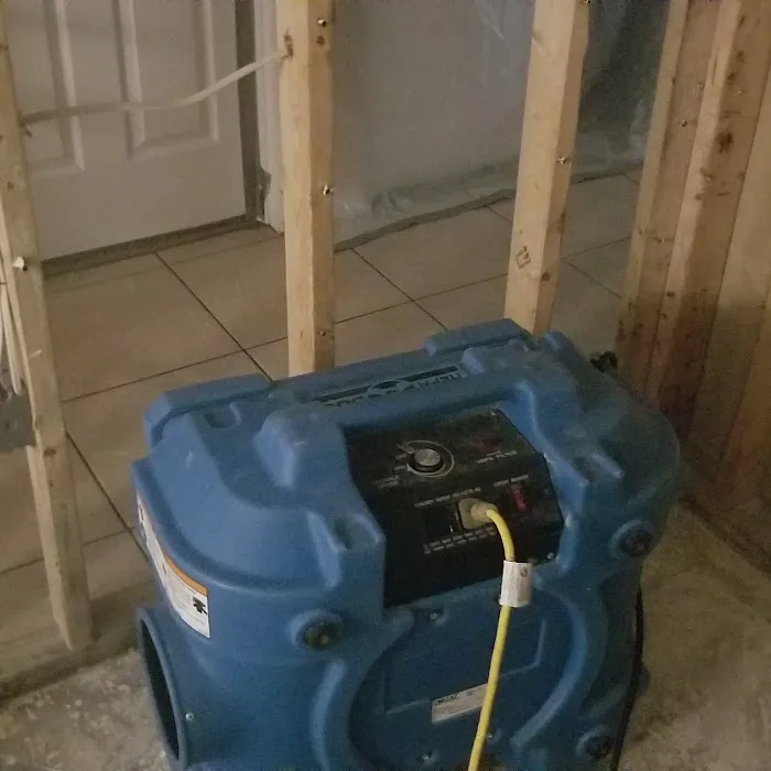 TampaBayMold.net Picture 4