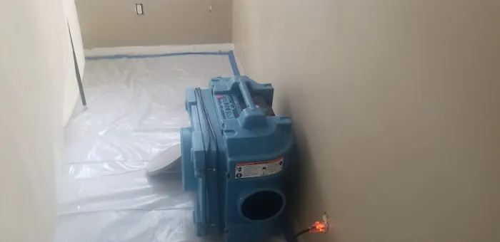 TampaBayMold.net Picture 2