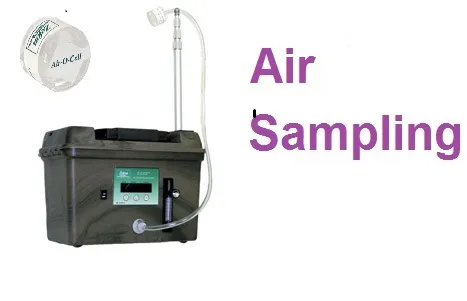 TampaBayMold.net Picture 1