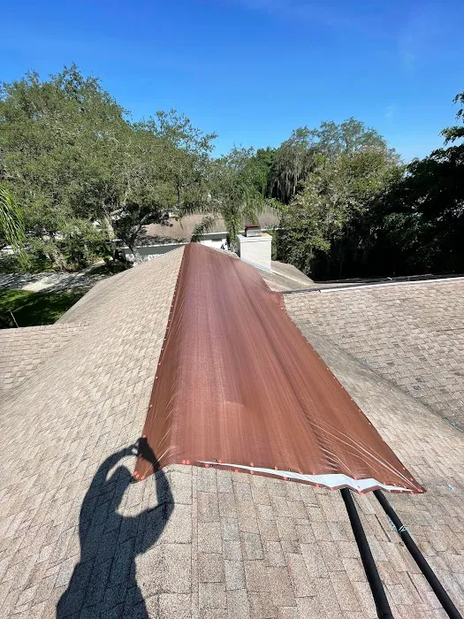 Professional Water Restoration Picture 9