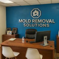 Mold Removal Solutions - Brandon FL ico