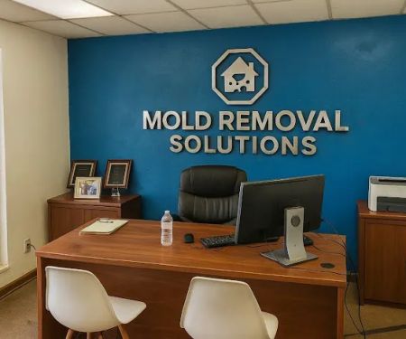 Mold Removal Solutions - Brandon FL