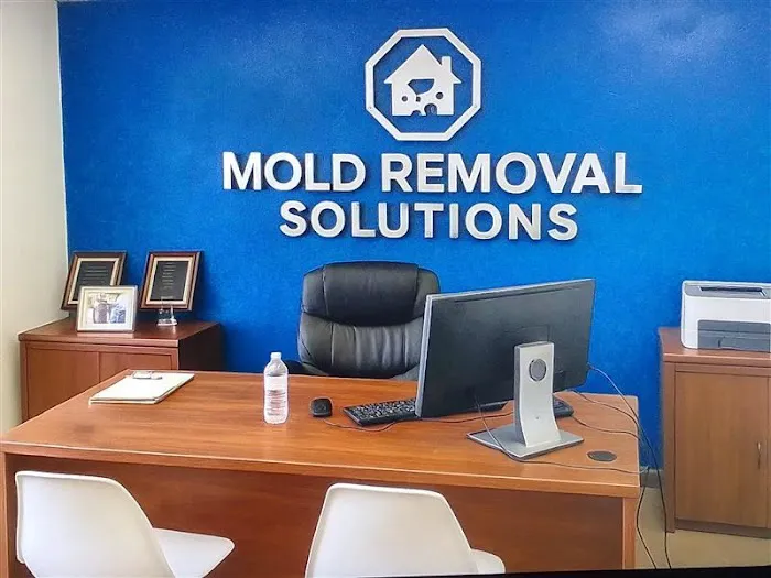 Mold Removal Solutions - Brandon FL Picture 3