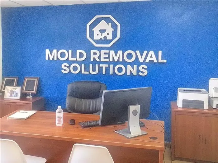Mold Removal Solutions - Brandon FL Picture 2