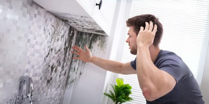 Pakar Mold Picture 2