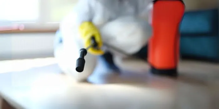 Pakar Mold Picture 4