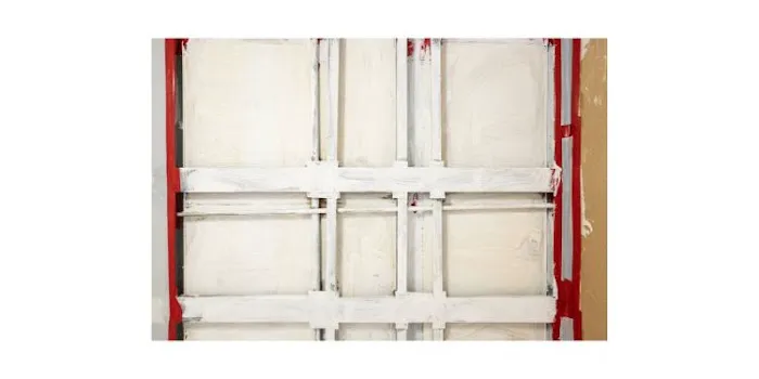 Pakar Mold Picture 6