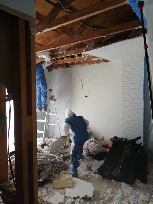 AV GROUP RESTORATION Picture 6