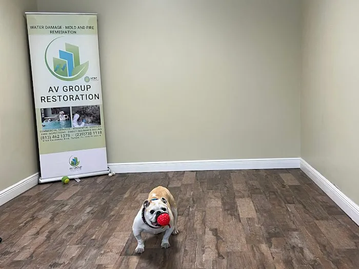 AV GROUP RESTORATION Picture 8