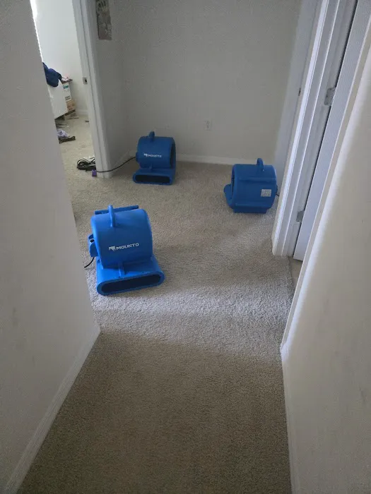 Onsite Emergency Tarping & Mitigation Picture 8