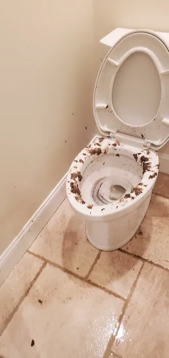 Chris' Carpet Service & Water Restoration Picture 2