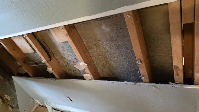 Chris' Carpet Service & Water Restoration Picture 1