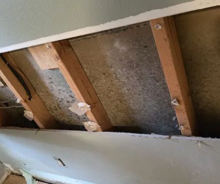 Chris' Carpet Service & Water Restoration