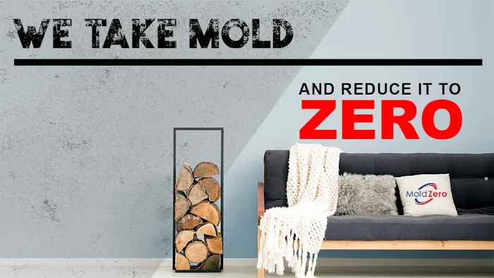 Mold Zero Picture 8
