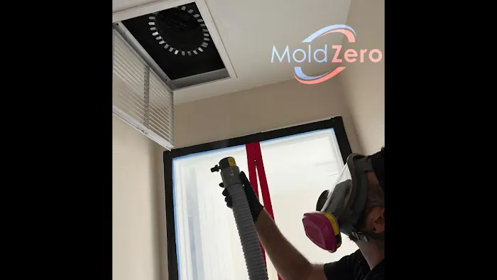 Mold Zero Picture 6
