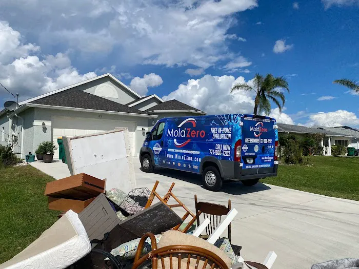 Mold Zero Picture 10