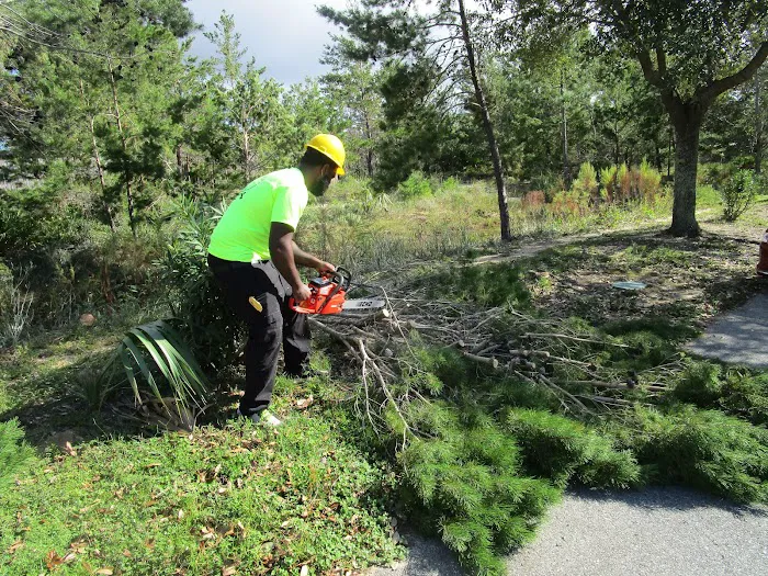 Specialized Picture 8