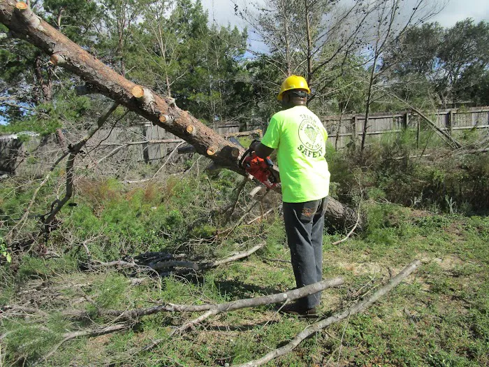 Specialized Picture 6