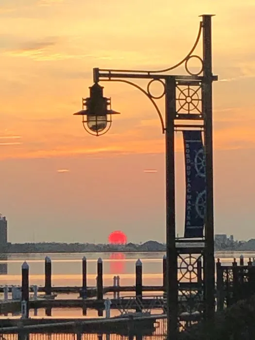 Specialized Picture 7