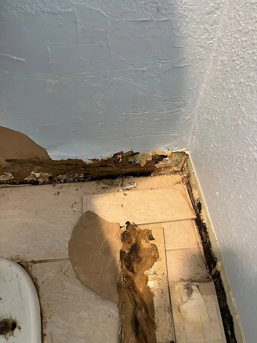 Bay Coast Restoration Picture 10