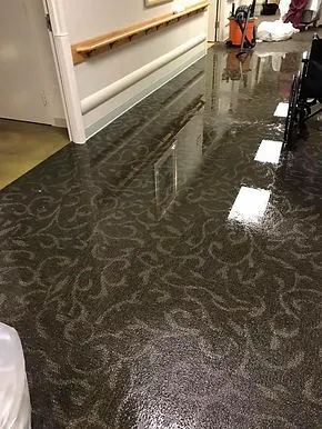 Water Restoration Pros Picture 1