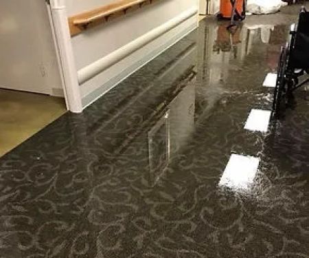 Water Restoration Pros