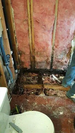 Water Restoration Pros Picture 3